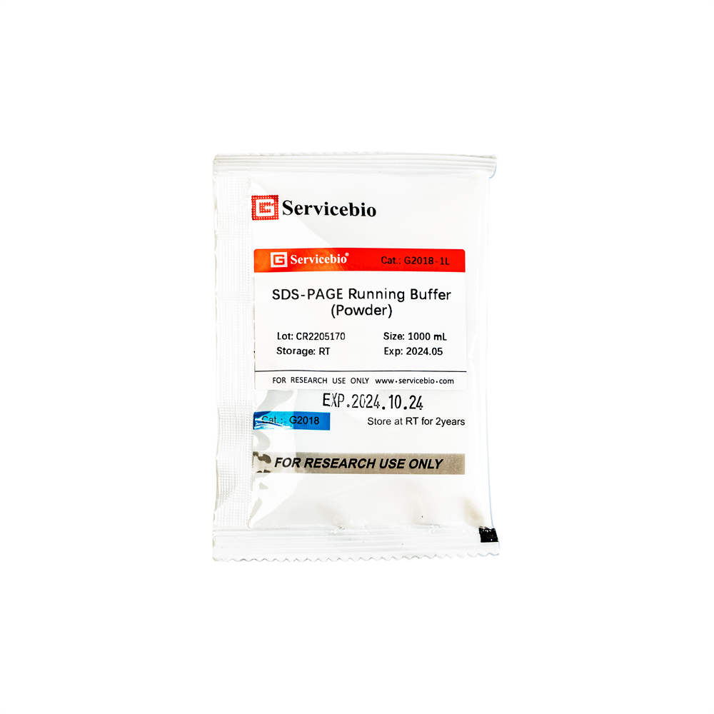 Homogenizer | Lab Supplies | Servicebio Homogenizer | Lab Supplies | Servicebio