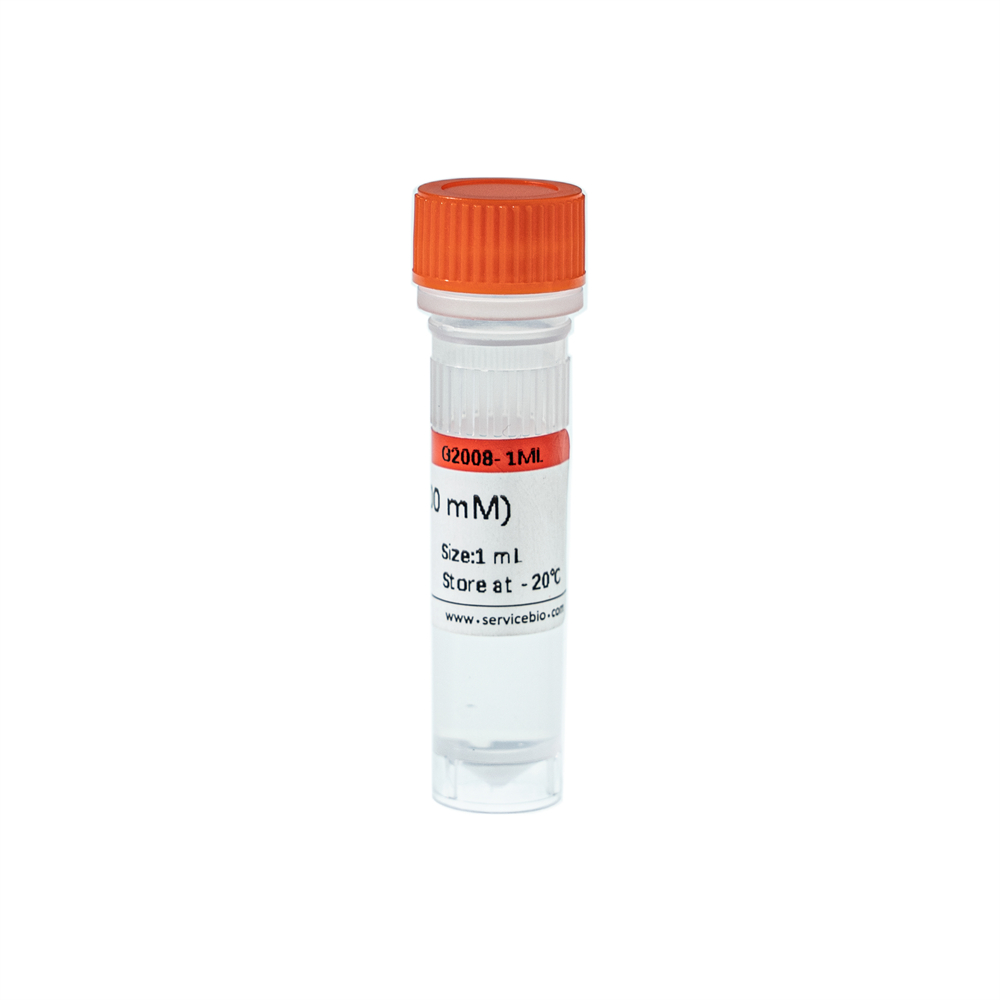 Homogenizer | Lab Supplies | Servicebio Homogenizer | Lab Supplies | Servicebio