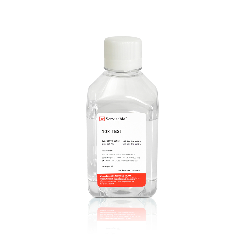 Homogenizer | Lab Supplies | Servicebio Homogenizer | Lab Supplies | Servicebio