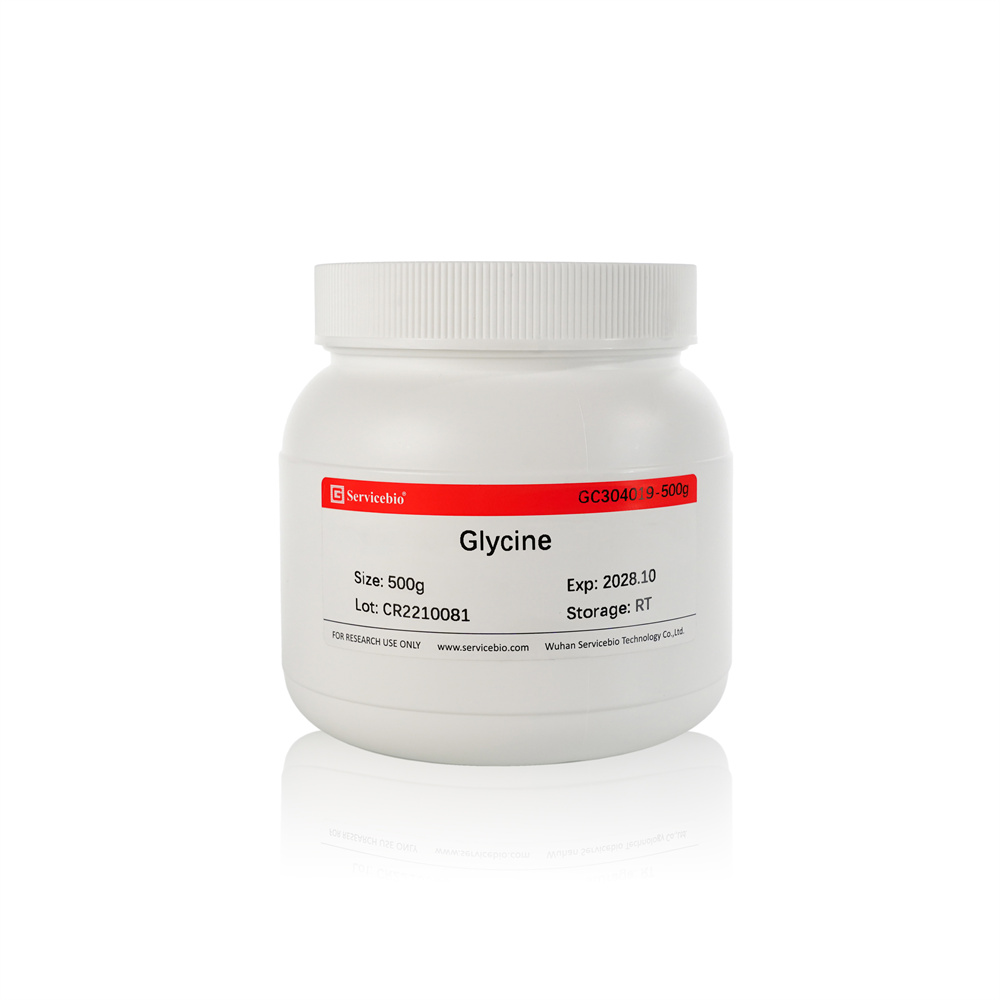 Glycine | Products | Servicebio