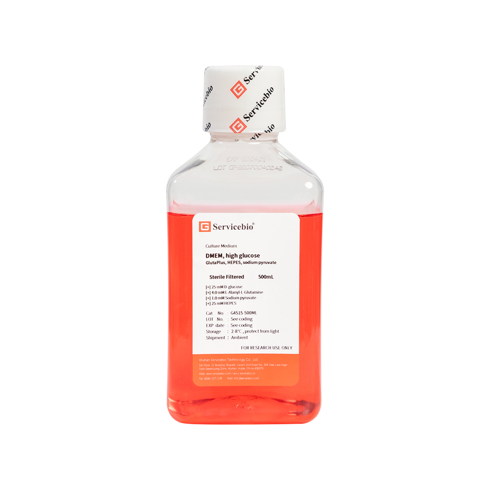 DMEM, High Glucose, GlutaPlus, HEPES, Sodium Pyruvate