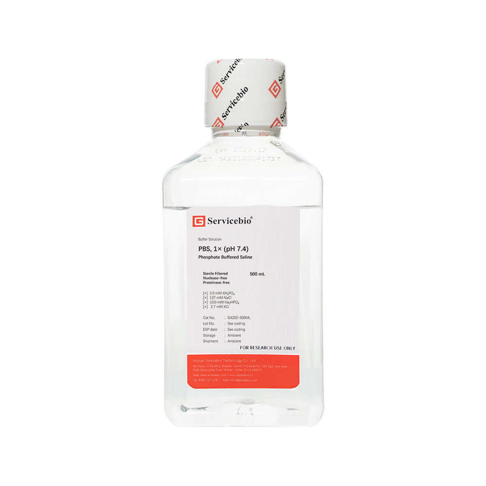 Servicebio Biological Products _Servicebio_ Wuhan Servicebio