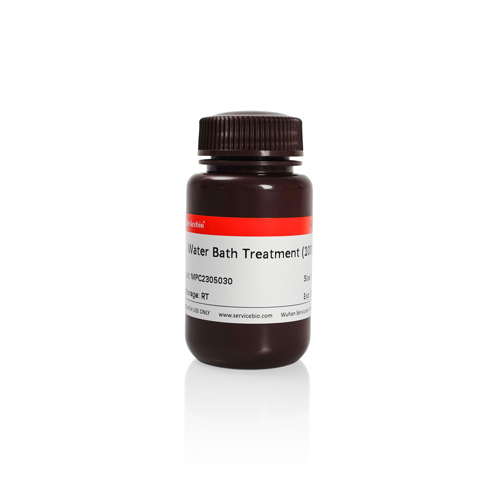100ml bac water Water Bath Bacteriostatic (1000×) | Products