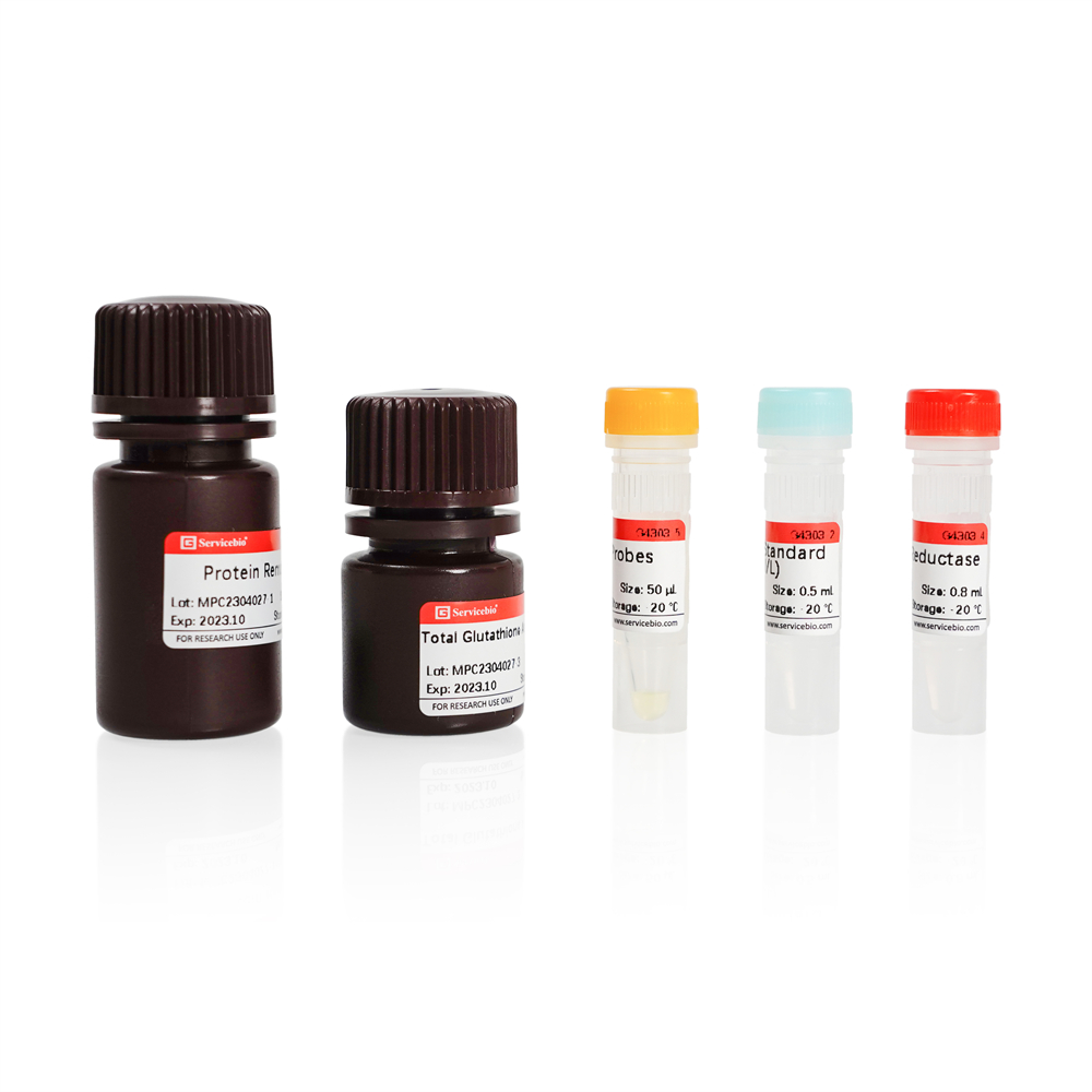 glutathione adsay kit high throuput Total Glutathione (T-GSH) Assay Kit | Products