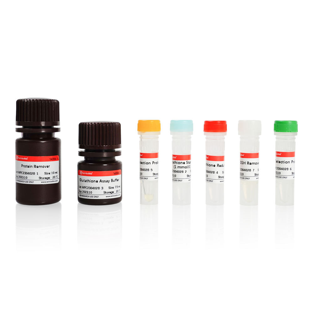 Total Glutathione/Oxidized Glutathione Assay Kit | Products
