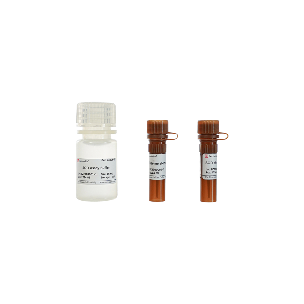 how often should you take glutathione injections how much time does it take for glutathione to work SHCGlutathione