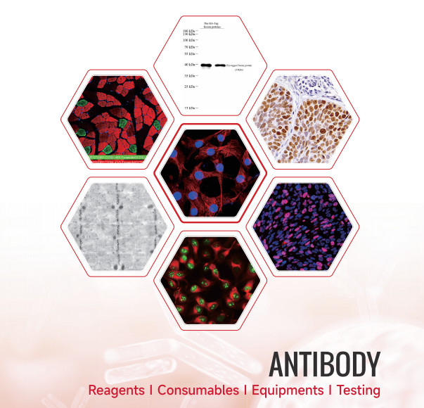 Onestop Supplier of Life Science Products