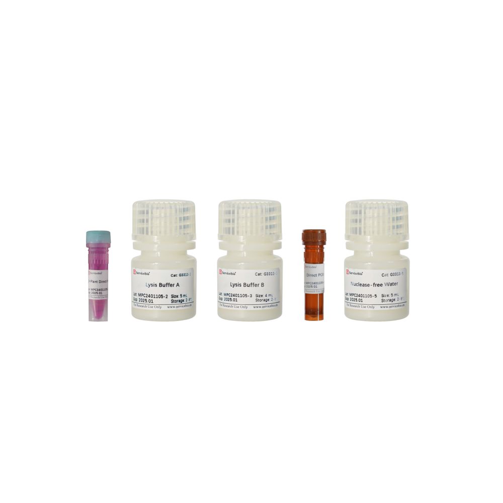 Plant Tissue Direct PCR Kit | Products | Servicebio