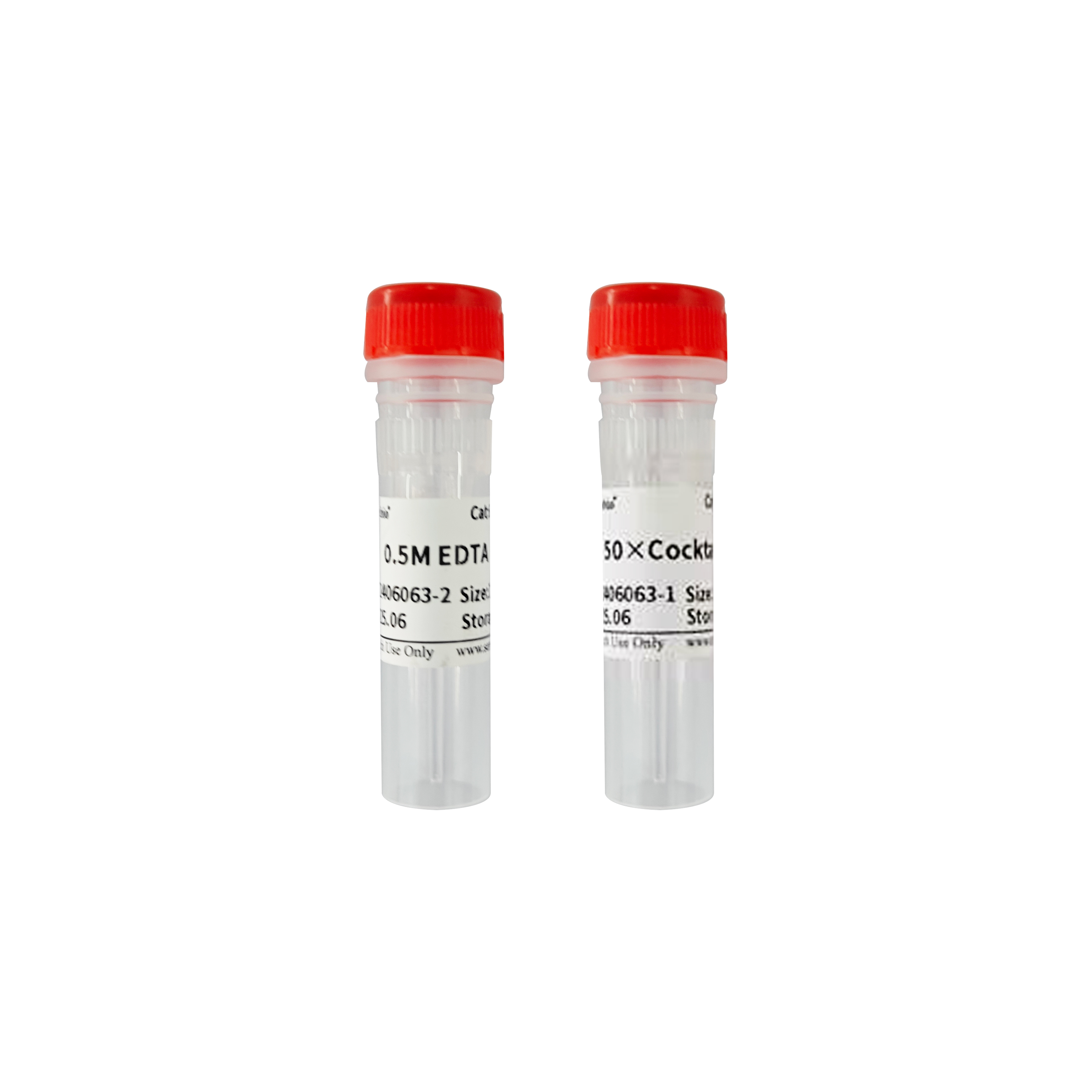Pipette Tips | Lab Supplies | Servicebio