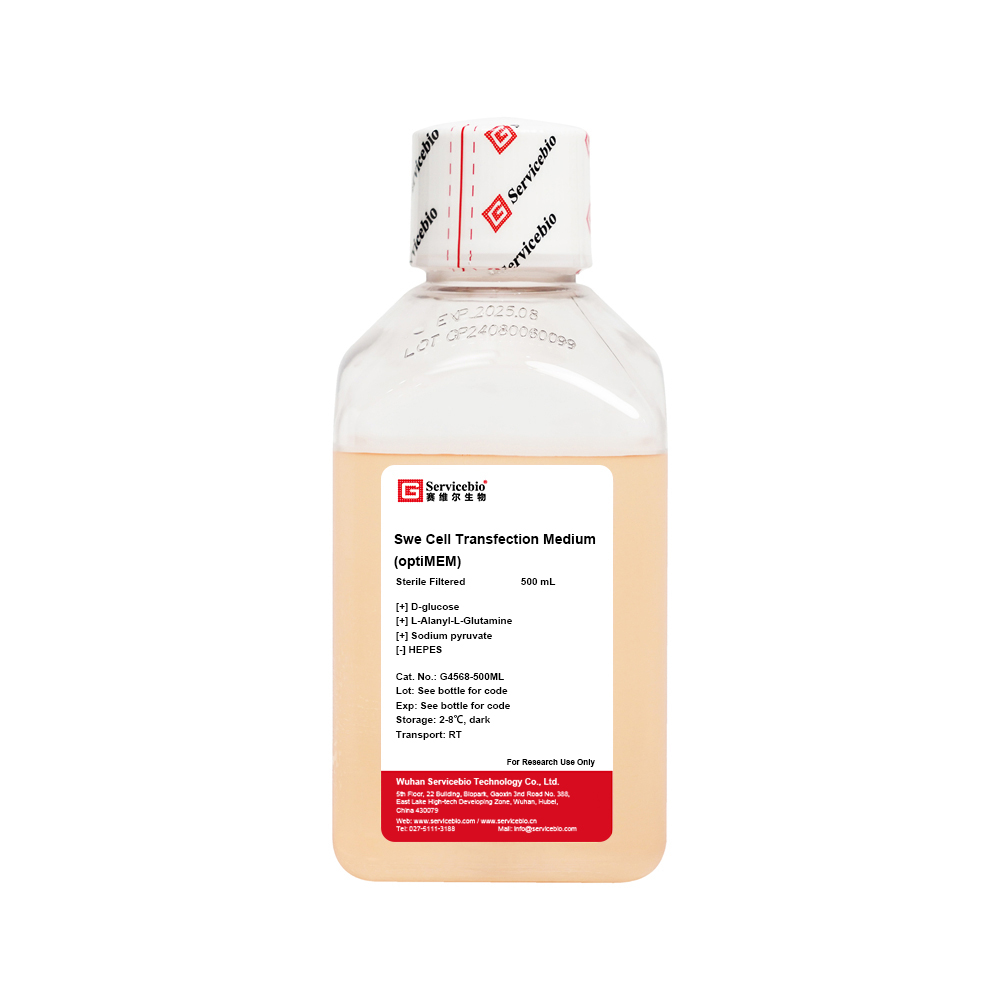 Swe Cell Transfection Medium