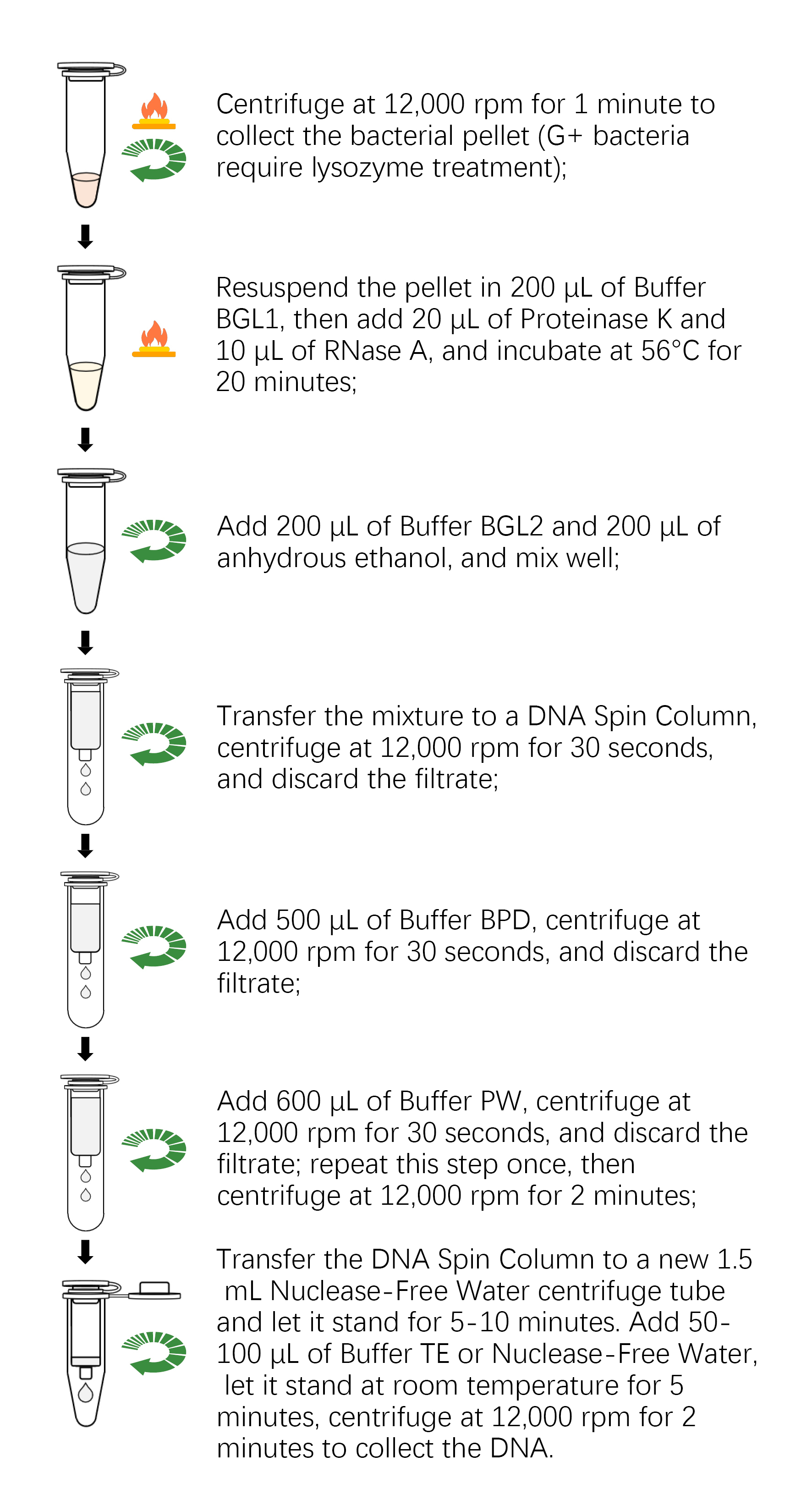 Tissue/Cell/Blood Genomic DNA Extraction Kit | Products | Servicebio