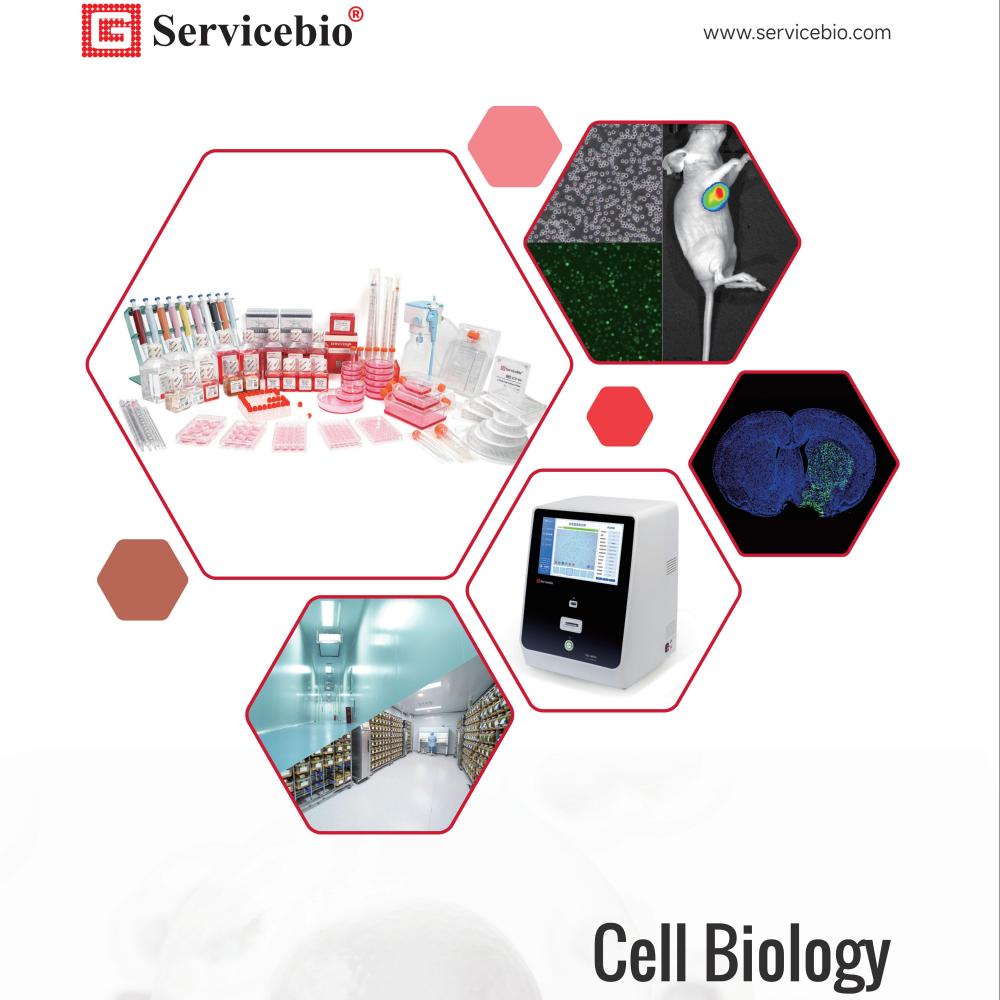 Onestop Supplier of Life Science Products