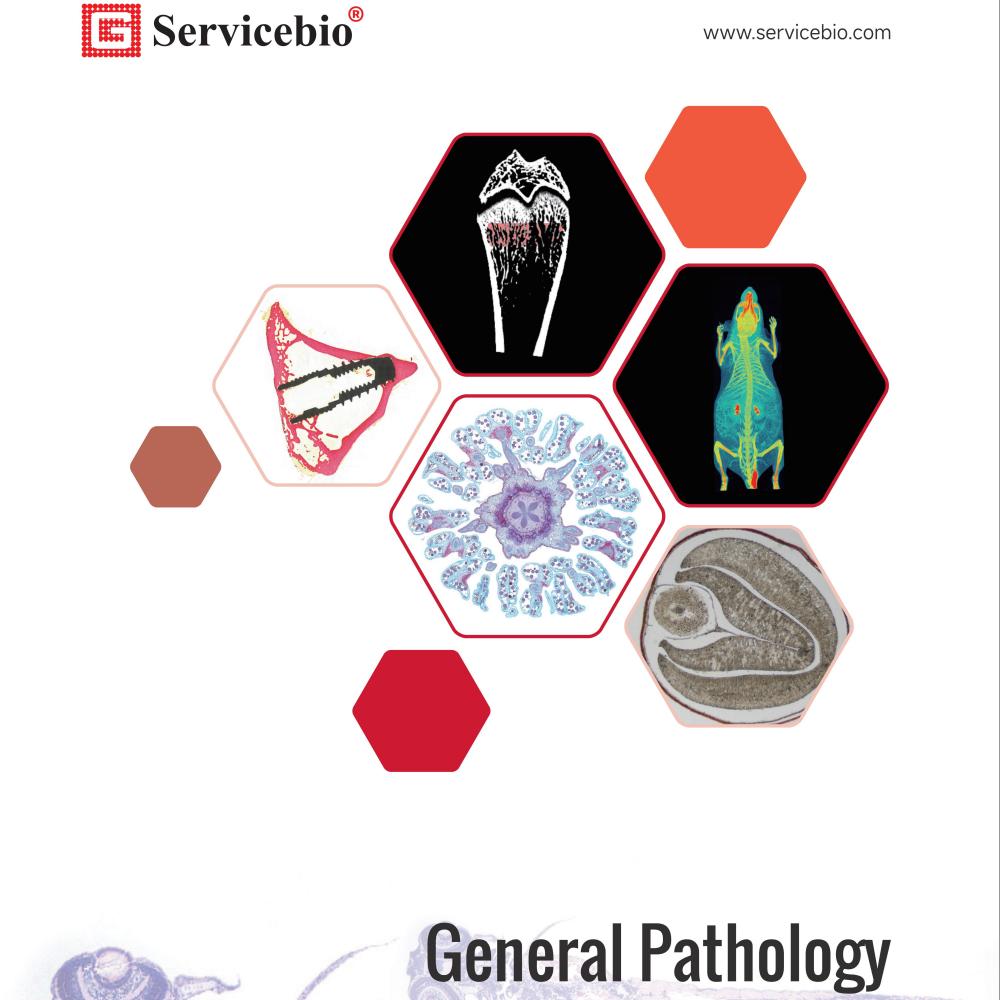 Onestop Supplier of Life Science Products