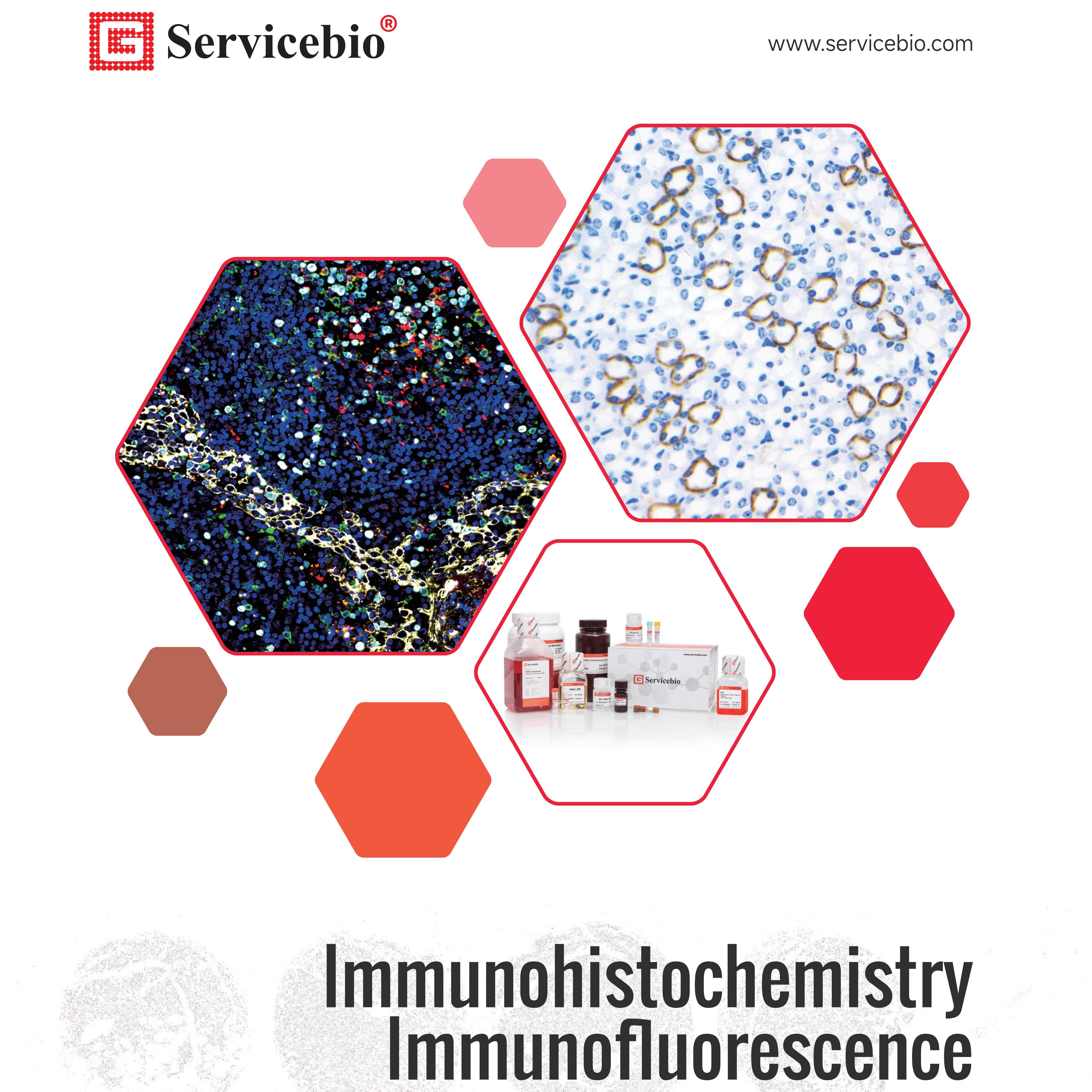 Onestop Supplier of Life Science Products