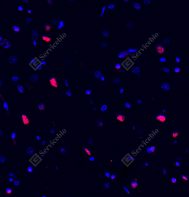 1757570075073064433.png