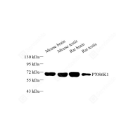 1765505587236594131.png